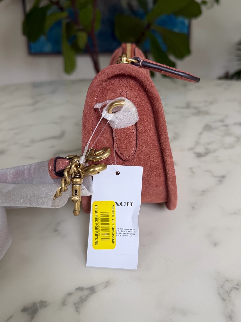 NWT Coach Waverly Bag Brass / Clay Suede Crossbody Shoulder Bag CDD78 - Picture 10 of 14